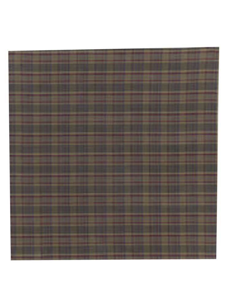 Skall Studio pluie scarf green red check