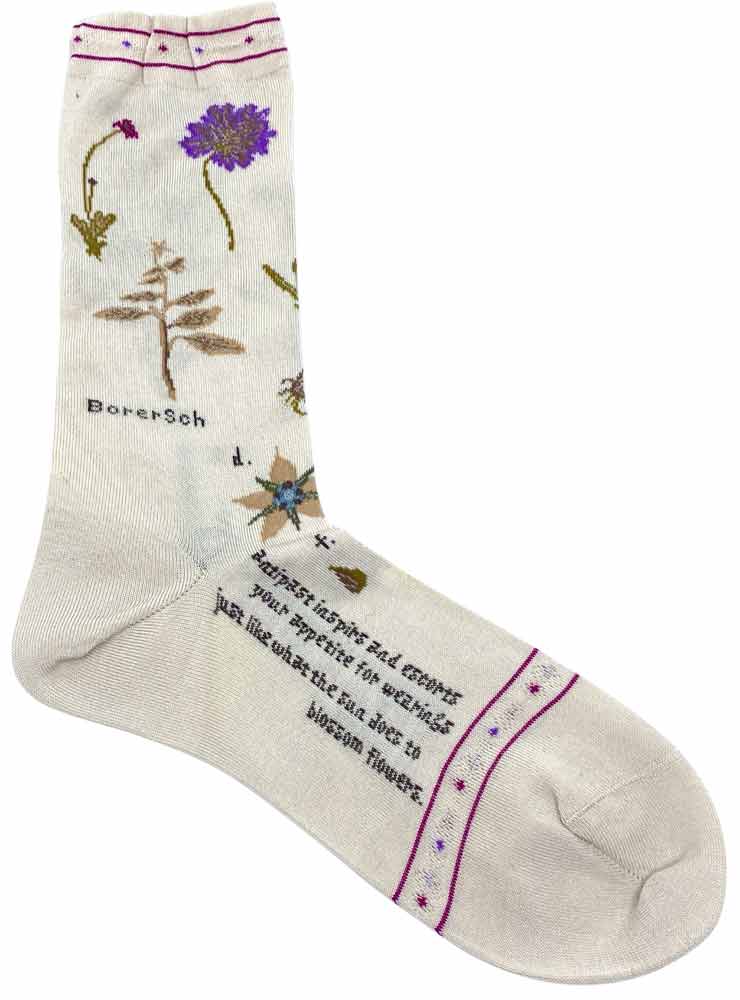 ANTIPAST KT 179S BOTANICAL ivory